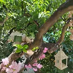 Luxury Bari-spa Privata 住宿加早餐酒店 4*