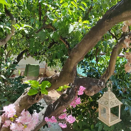 Suite Capurso Bari - Jacuzzi Privata &Giardino 住宿加早餐酒店 3*